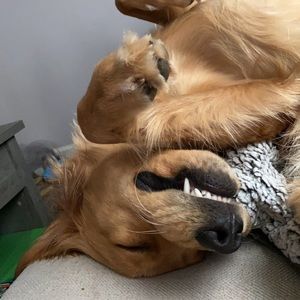 Meet your Posher, Kylie